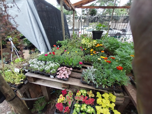 St. Clements Restaurant - Durban