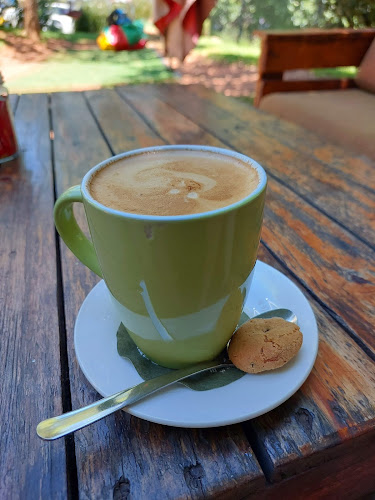 Comentarii opinii despre The Green Room