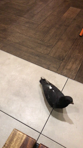 RocoMamas Nelson Mandela Square - Halaal - Sandton