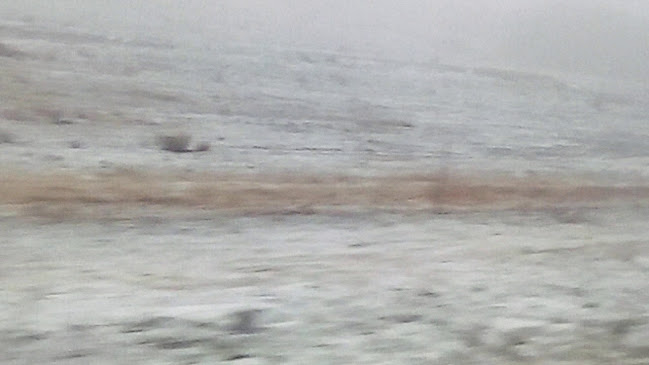 Portuguese On The Bay - Hospitality and gastronomy