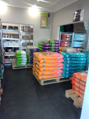 36 Homestead Ave, Homelake, Randfontein, 1759