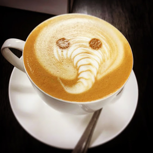 Jooma Coffee - Hospitality and gastronomy