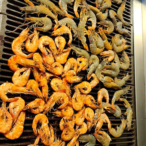 Twilight Curry and Grill Takeaway Caterers and Spit Braai's - Hospitality and gastronomy