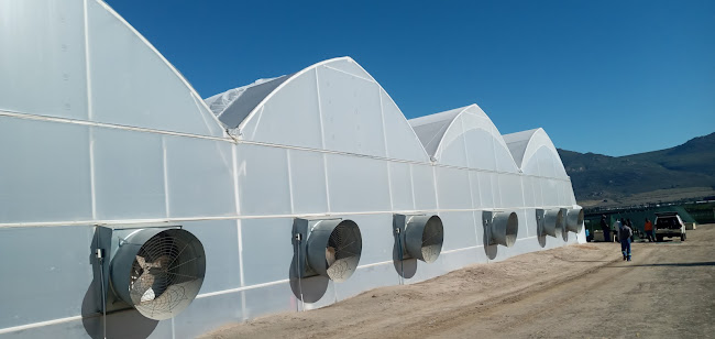 Comentarii opinii despre KFC Worcester