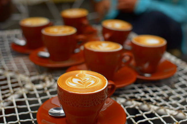 6 Roodehek St, Gardens, Cape Town, 8001