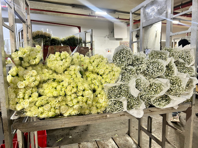 1 Fig Pl Rd, City Deep, Johannesburg, 2049