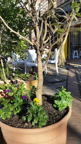 Pool Caffe - Hospitality and gastronomy