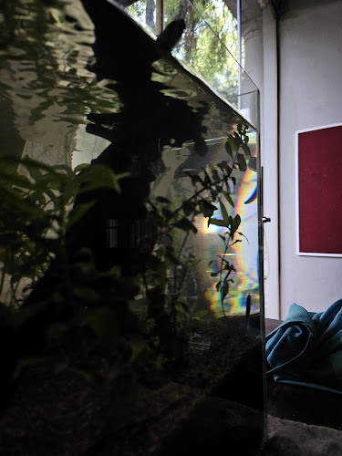 63 Malibongwe Dr, Linden, Randburg, 2194