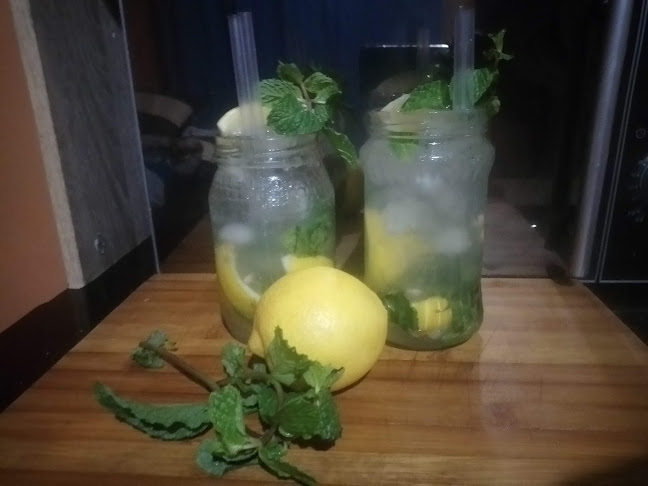 The Cocktail Mobile Bar - Hospitality and gastronomy