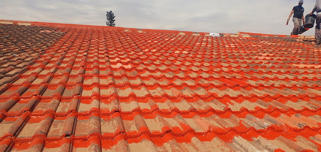 Comentarii opinii despre Buffalo Cove Spur