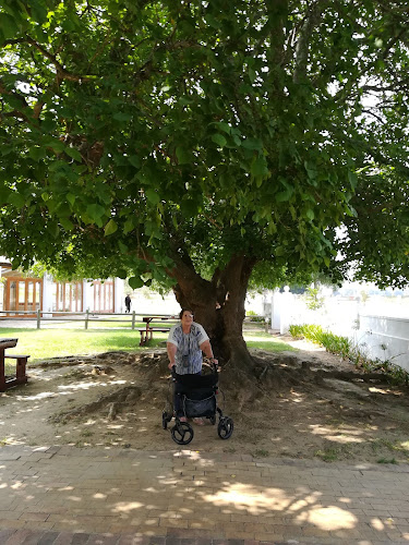 8 Jan Van Riebeeck Dr, Paarl, 7646