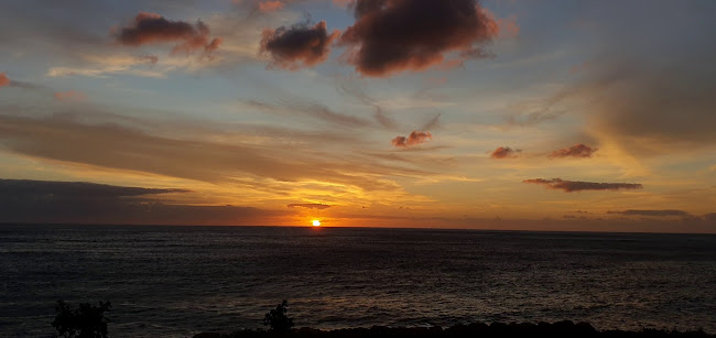 Opinii despre Street Cafe Food Truck în Cape Town - Hospitality and gastronomy