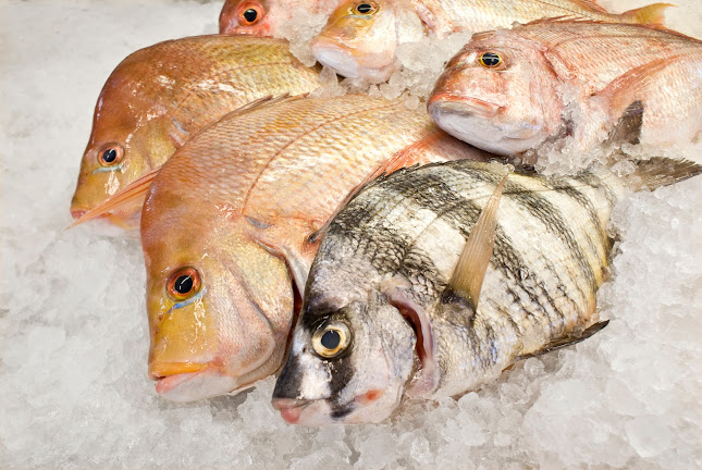 Opinii despre Seafood Market în Durban - Hospitality and gastronomy