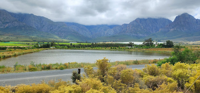 Pure Boland Farmer's Market - Groenstoor - Worcester