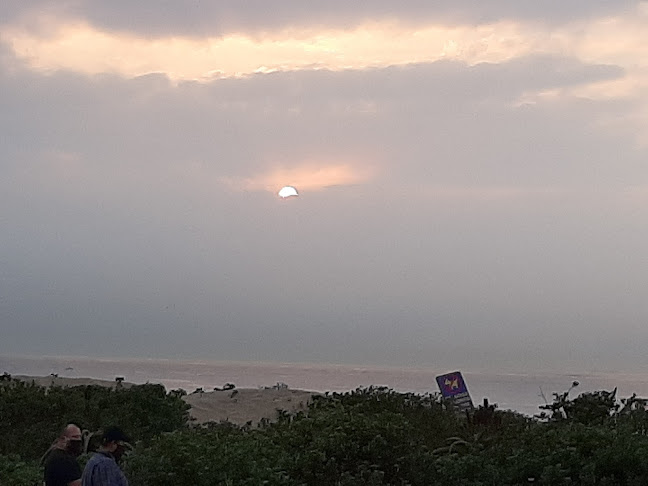 Comentarii opinii despre The Coffee Guys.