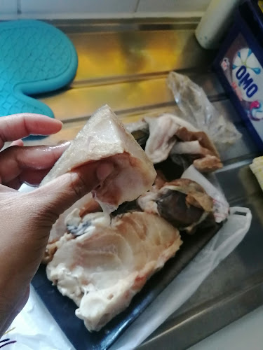 Durban Seafoods - Hospitality and gastronomy