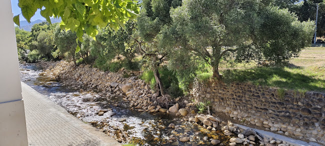 Aunty Sophie se Kombuis