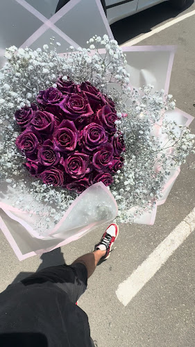 Mimosa Blomme - Hospitality and gastronomy