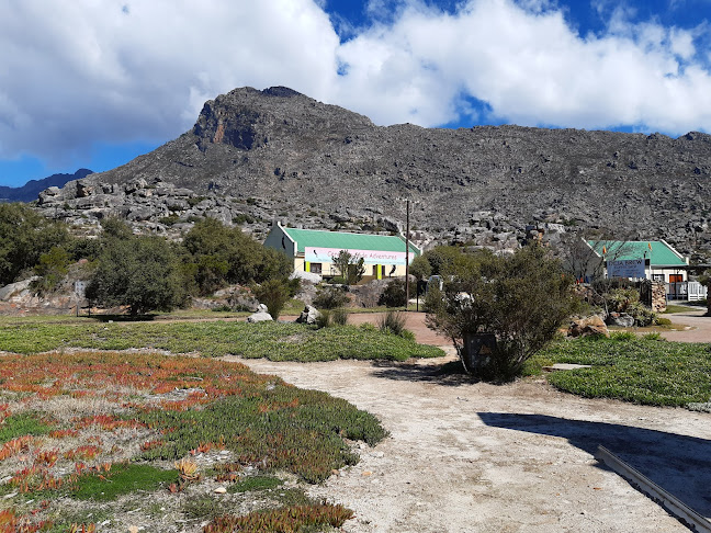 Deja Brew Bistro - Hospitality and gastronomy