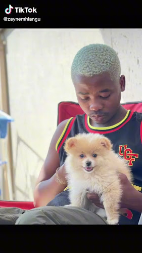 Opinii despre Megalo on 5th în Sandton - Hospitality and gastronomy