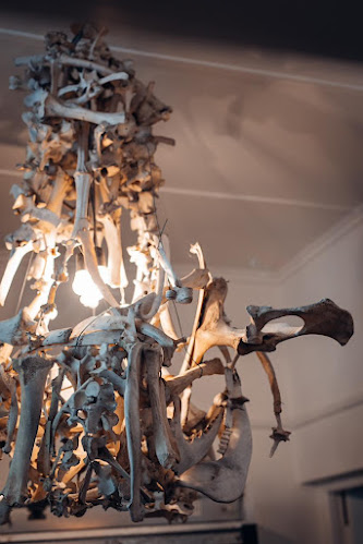 35 Bain St, Wellington, 7654