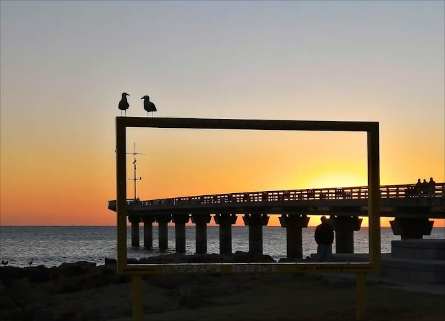 Freshstop Hobie Beach - Gqeberha