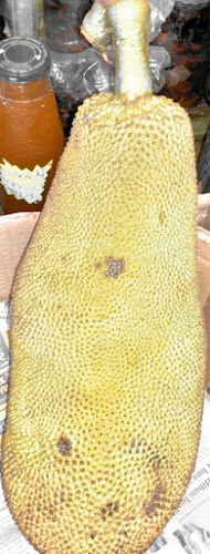 15 Voortrekker Rd, Salt River, Cape Town, 7925