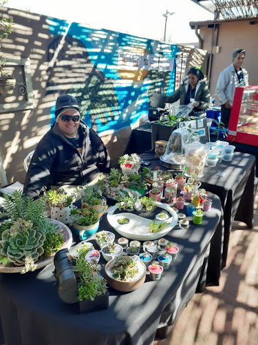 Opinii despre The Coffee Joint în Springs - Hospitality and gastronomy