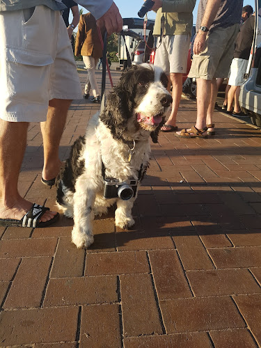 The Coffee Guys. - Durban