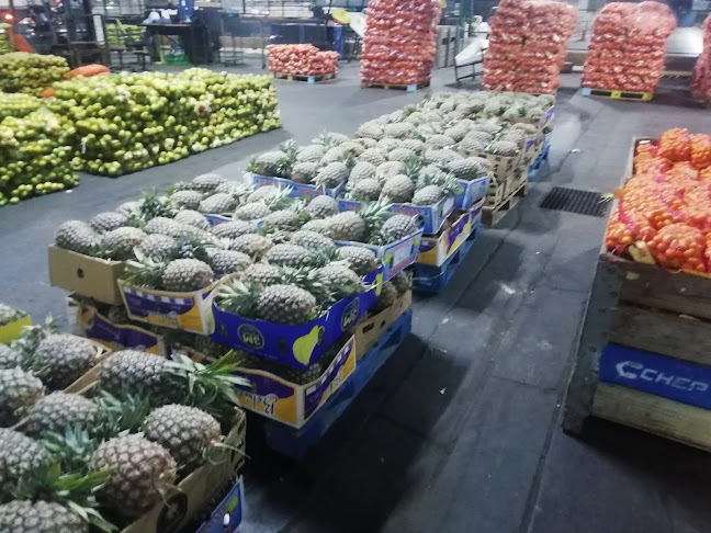 110 Gunners Cir, Epping, Cape Town, 7475