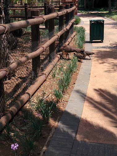 Comentarii opinii despre Polokwane Freash Produced Market