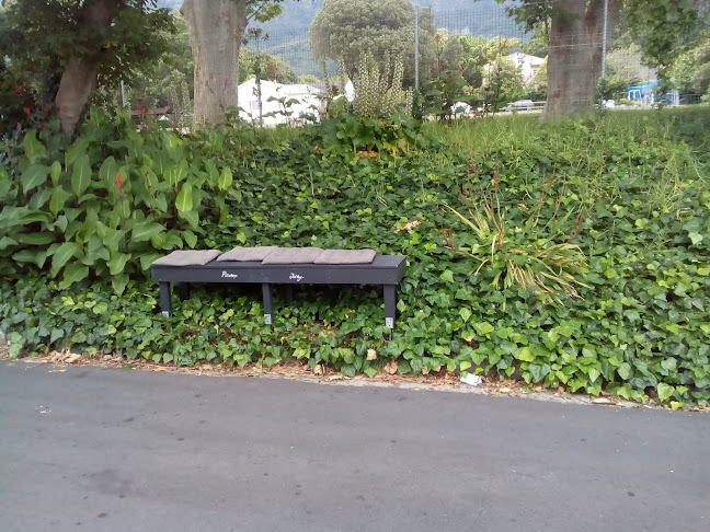 6 Von Holdt St, Newlands, Cape Town, 7700