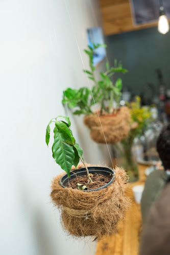 Opinii despre deMILKo în Potchefstroom - Hospitality and gastronomy