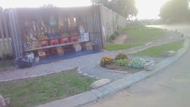 Bliss Frt&veg - Newcastle