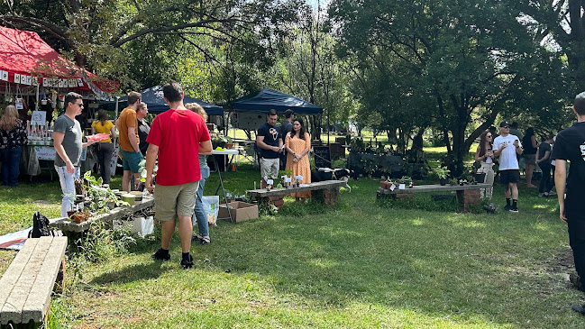 The Local Market - Delta Park - Johannesburg