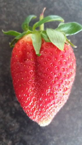 Opinii despre Good Company Market St Georges Mall (Thursdays) în Cape Town - Hospitality and gastronomy