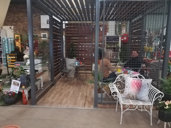 Comentarii opinii despre Grow Cafe - Menlyn