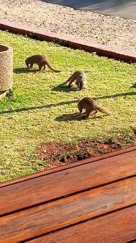 Opinii despre Harrie's Pancakes în Cullinan - Hospitality and gastronomy