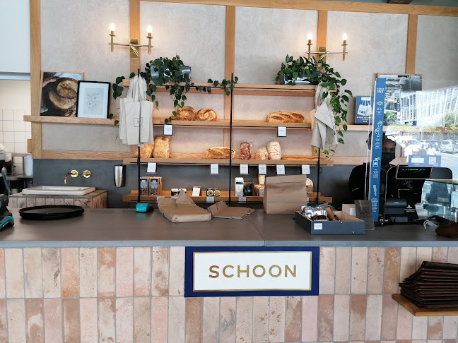 Comentarii opinii despre SCHOON The Point