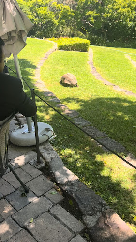 Opinii despre Garden Lounge at The Vineyard Hotel în Cape Town - Hospitality and gastronomy