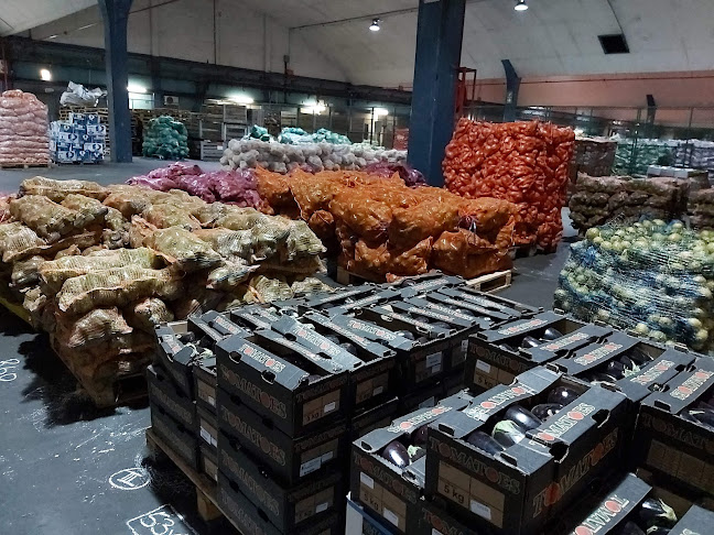 Cape Town Market - Hospitality and gastronomy