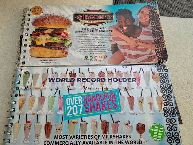 Comentarii opinii despre Gibson's