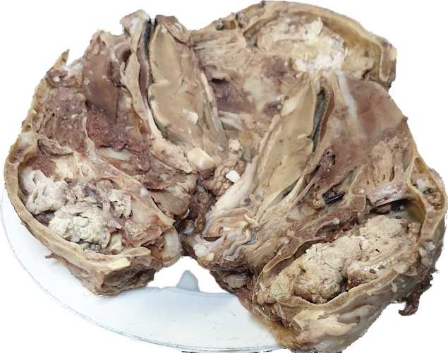 De Hoek Restaurant - Hospitality and gastronomy