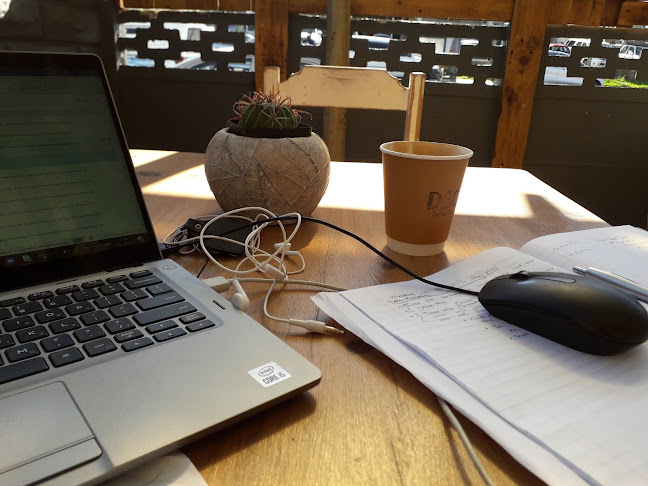 Dream Bean Cafe - Hospitality and gastronomy