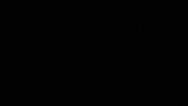 Opinii despre Buffalo bills în Johannesburg - Hospitality and gastronomy