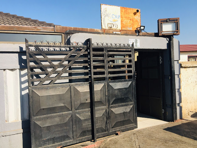 733 Mogagabe St, Molapo, Soweto, 1818