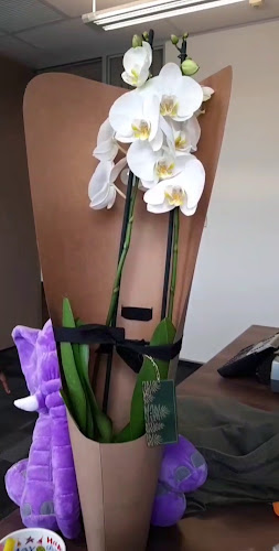 Starbucks Bedford Square - Germiston