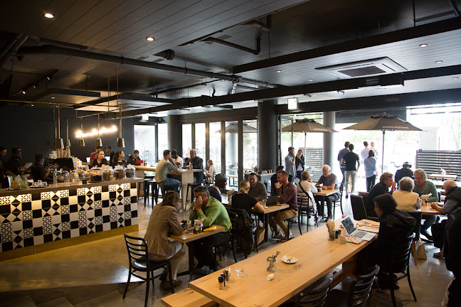 Bootlegger Green Point