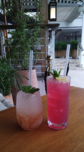 Surfshack by Kove Collection