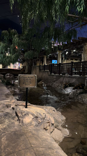 Casa Bella Montecasino - Hospitality and gastronomy